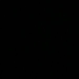 Meet your Posher, Scarlett